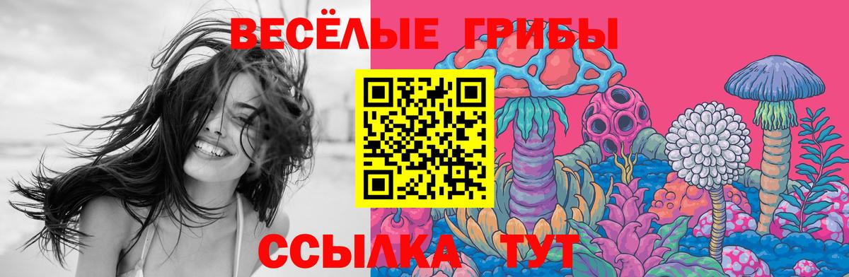 Лыткарино  Галлюциногенные грибы Cubensis  Вход с VPN 