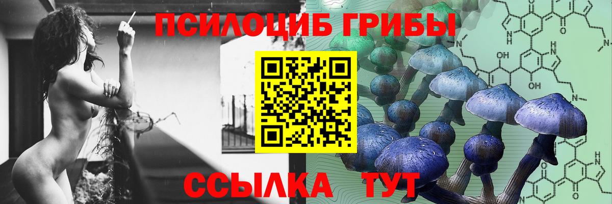 Псилоцибиновые грибы прущие грибы Лыткарино